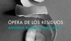 I Ciclo de Lecturas Dramatizadas Assitej España: 28/12 –  Ópera de los residuos